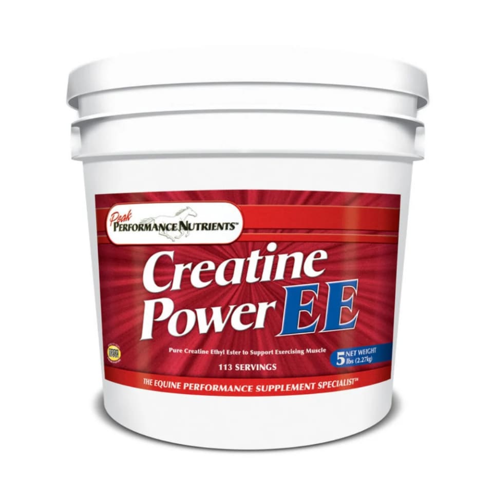 CREATINE POWER EE 5 LBS