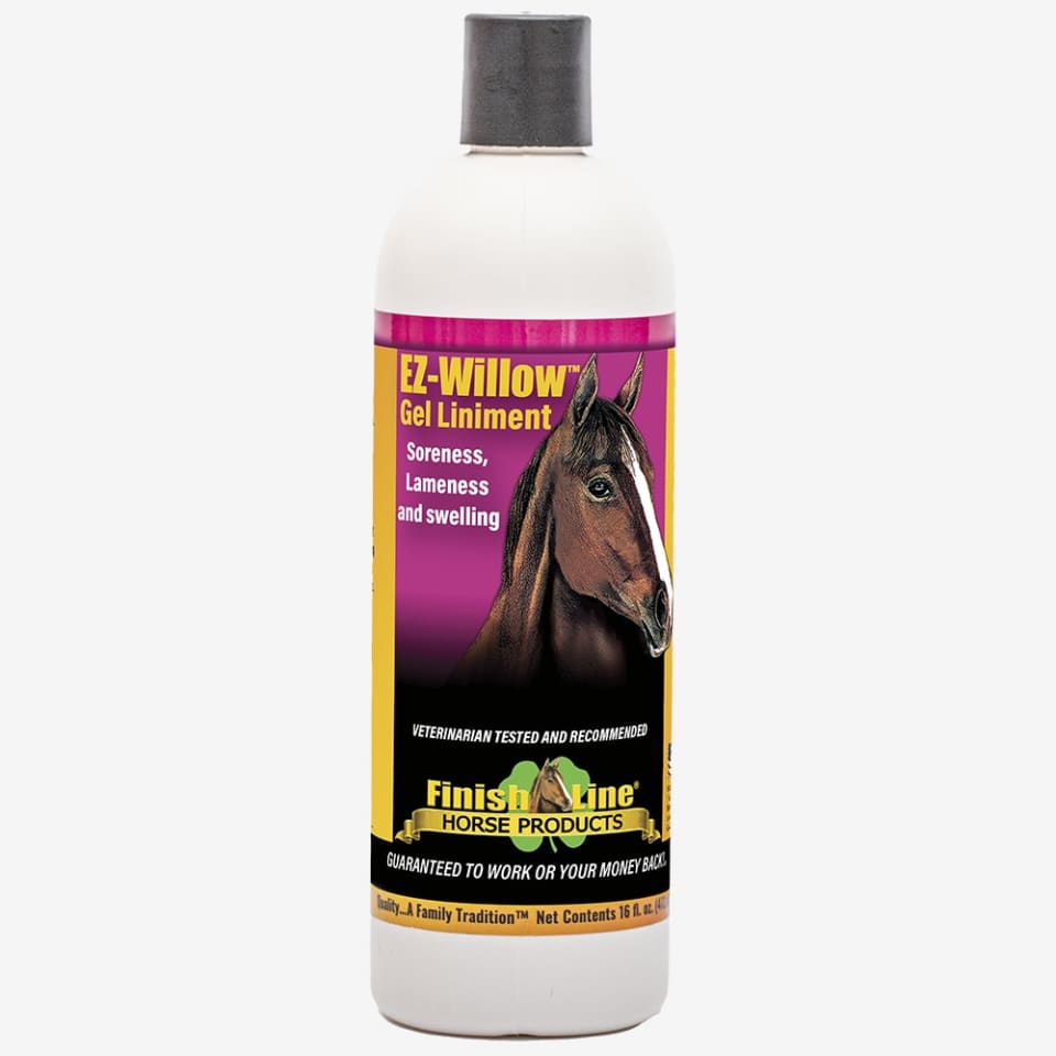 EZ WILLOW GEL LINIMENT 16 OZ