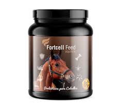 FORTCELL KILO