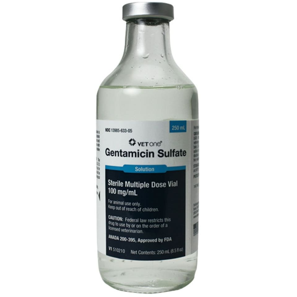 GENTAMINCIN SULFATE 250 ML