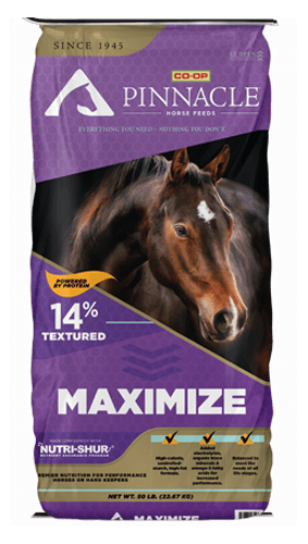 MAXIMIZE