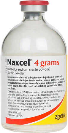 NAXCEL POWDER 4 GR CEFTIOFUR