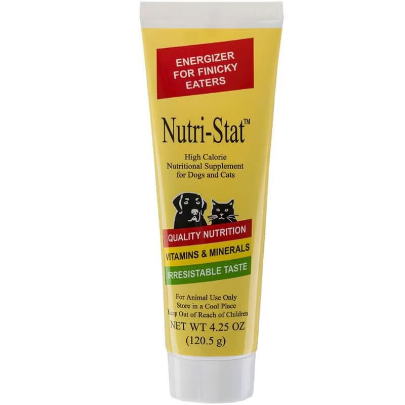 NUTRI-STAT PASTE 4.25 OZ