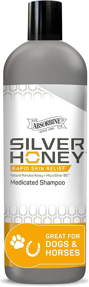 SILVER HONEY SKIN RELIEF 6 OZ