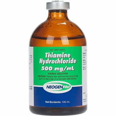 THIAMINE INJ 500 MG/ML 100 ML