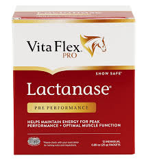 VITA FLEX LACTANASE 25 GRS
