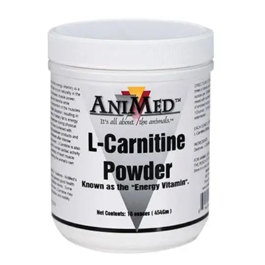 L CARNITINE 16 OZ