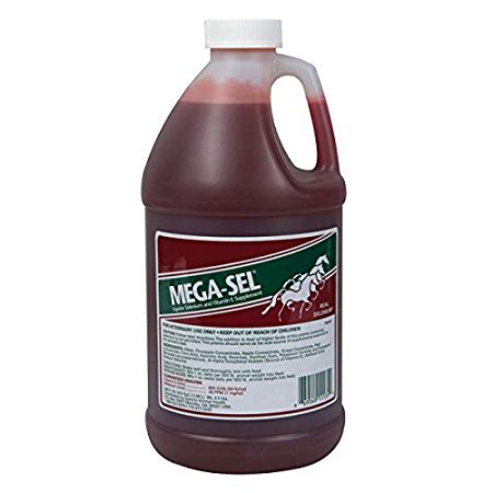 MEGA SEL GALON