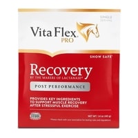 PRO RECOVERY 40 GR