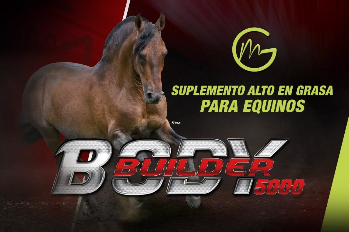 BODY BUILDER 5000