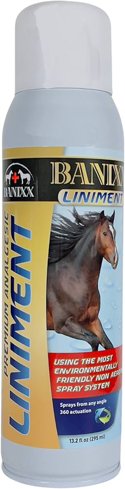 BANNIX SPRAY LINIMENT 13.2 OZ