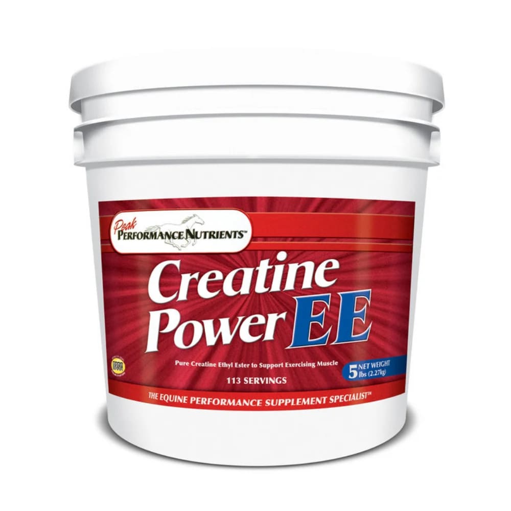CREATINE POWER EE 5 LBS