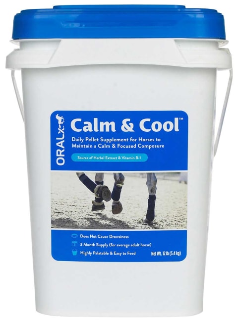 CALM & COOL