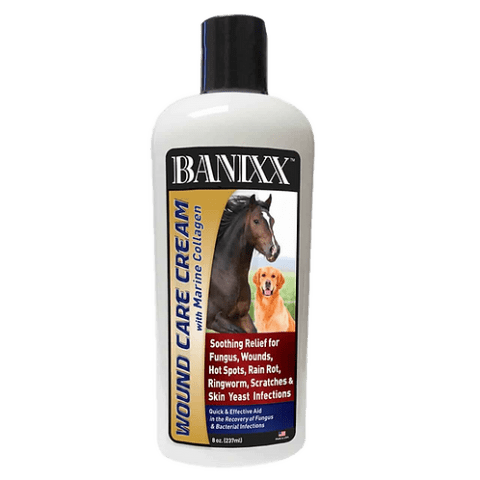 BANIXX