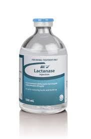 LACTANASE FRASCO 100 ML