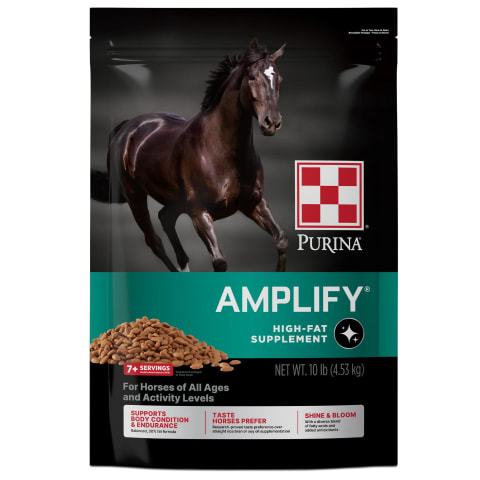 PURINA AMPLIFY 10 LIBRAS