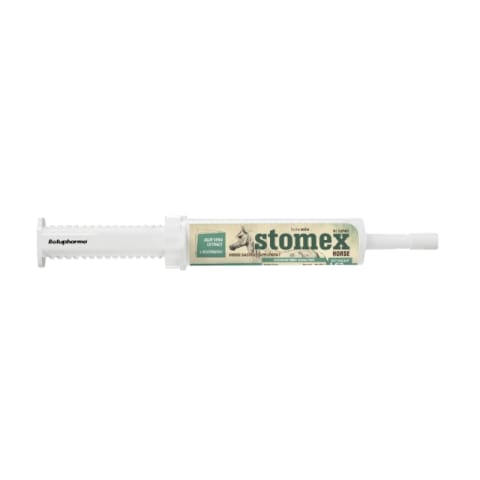 STOMEX JERINGA 34 GR