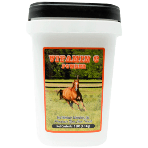 VITAMIN C POLVO 5 LIBRAS