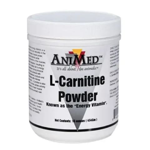 L CARNITINE 16 OZ