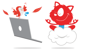 The smashing cat floating on a cloud with a birdy on their laptop