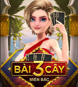 Bai-3-Cay-250x280-vn.jpg