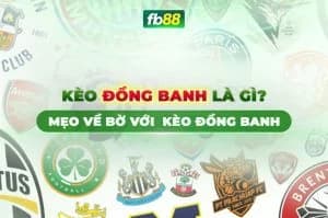 Nhận định soi kèo Dusseldorf vs Hamburger, 0h30 ngày 9/3/2024