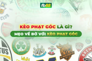 Nhận định soi kèo Dusseldorf vs Hamburger, 0h30 ngày 9/3/2024