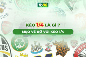 Nhận định soi kèo Dusseldorf vs Hamburger, 0h30 ngày 9/3/2024