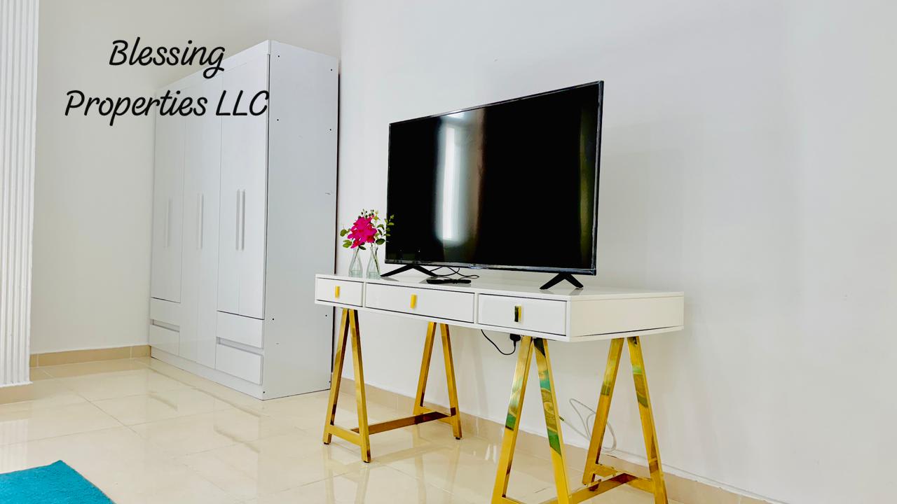 Fully furnished huge studio apartment - photo 2