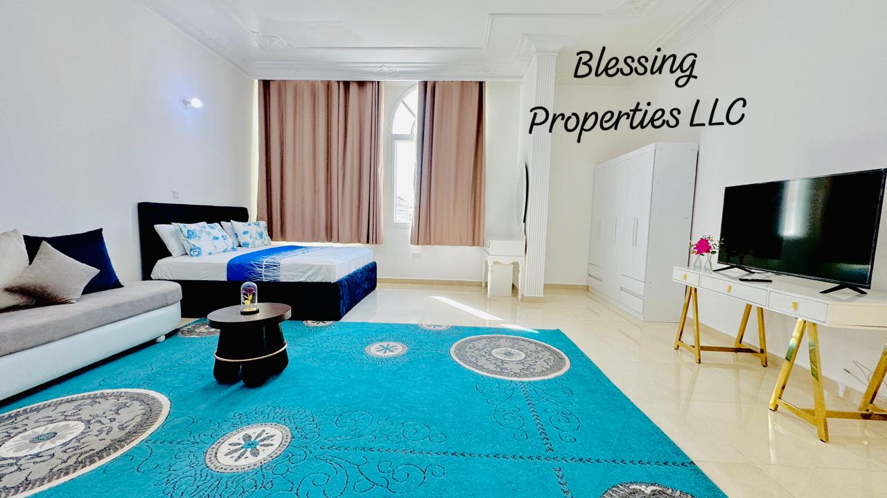 Fully furnished huge studio apartment - photo 3