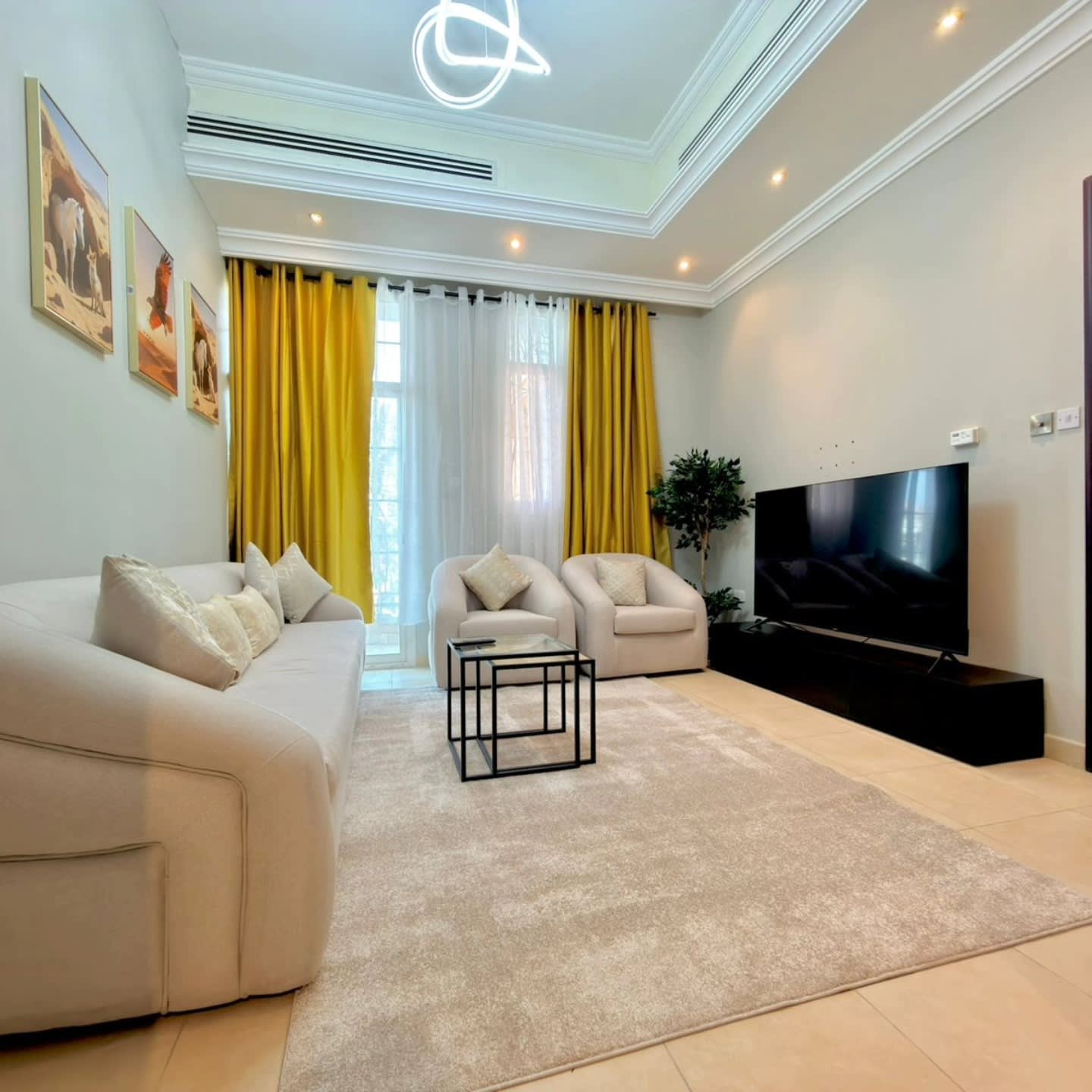 Fully Furnished One Bedroom Apartment - photo 3