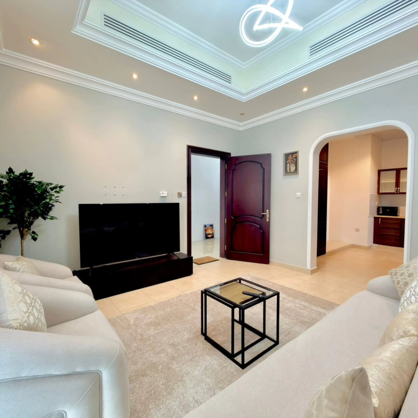Fully Furnished One Bedroom Apartment - photo 9