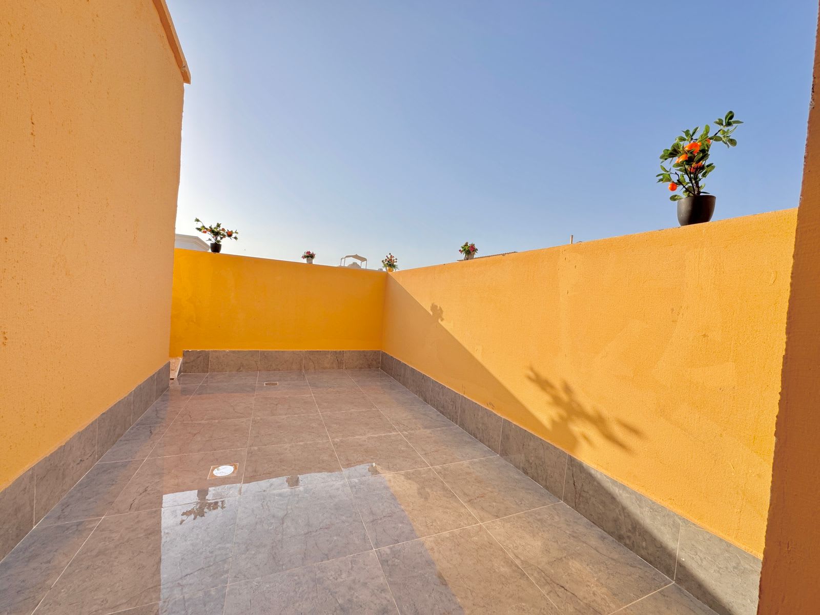Fully Furnished 1BHK with Balcony — Behind Saudi Kitchen, Mushrif, Abu Dhabi - photo 20