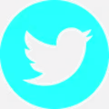 X (Twitter) logo
