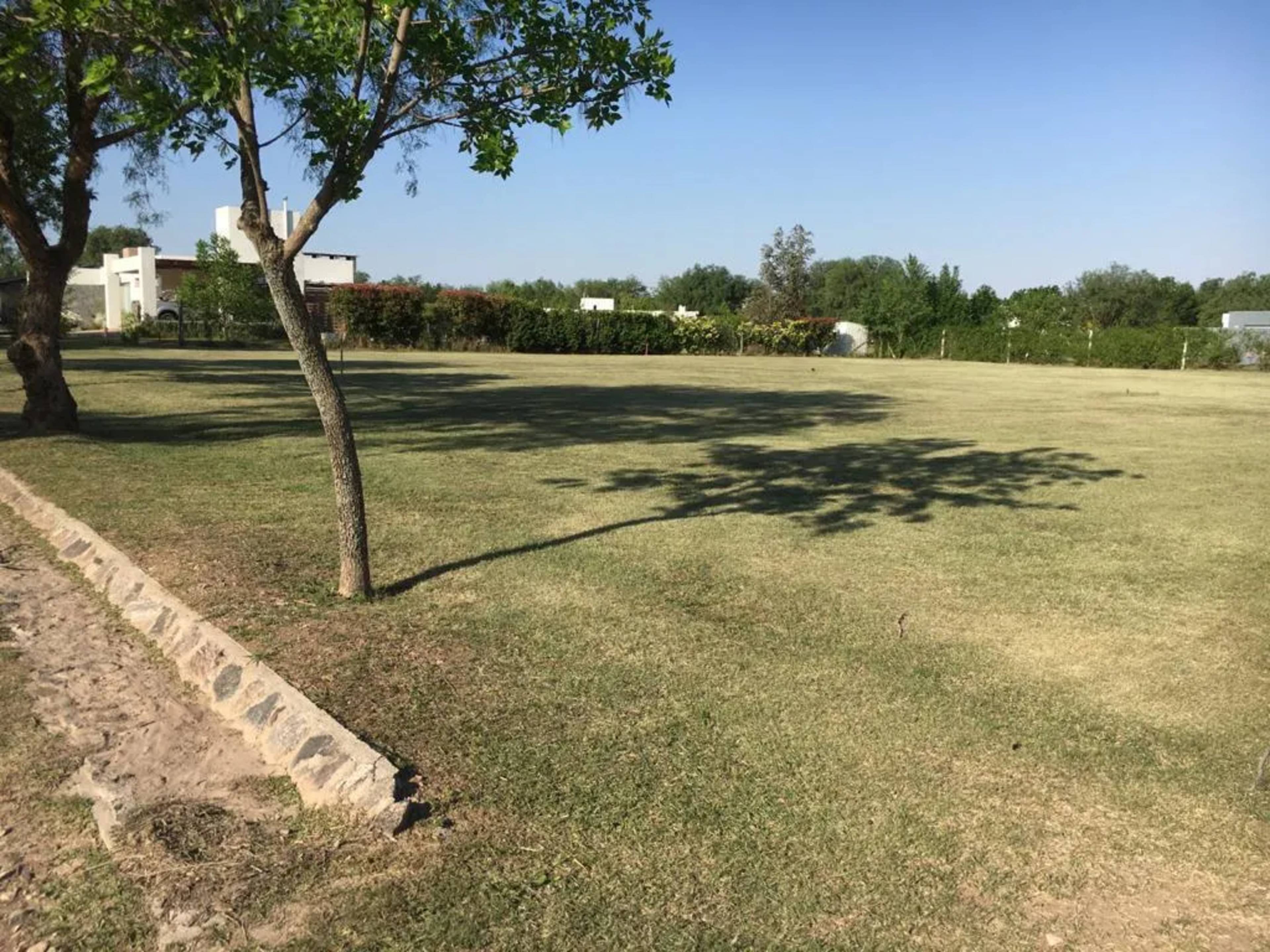 Lote Causana 1 - extra