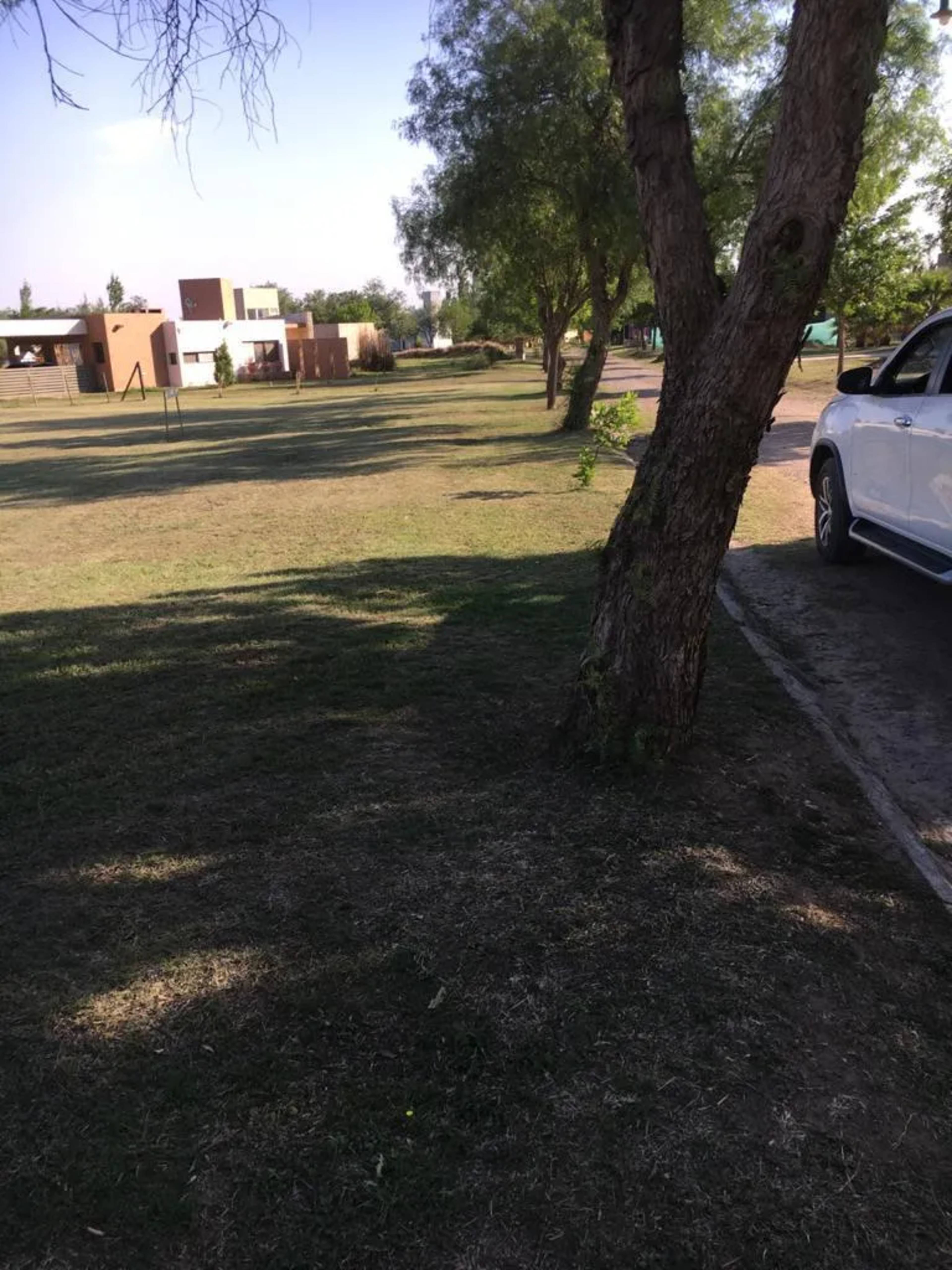 Lote Causana 1 - extra