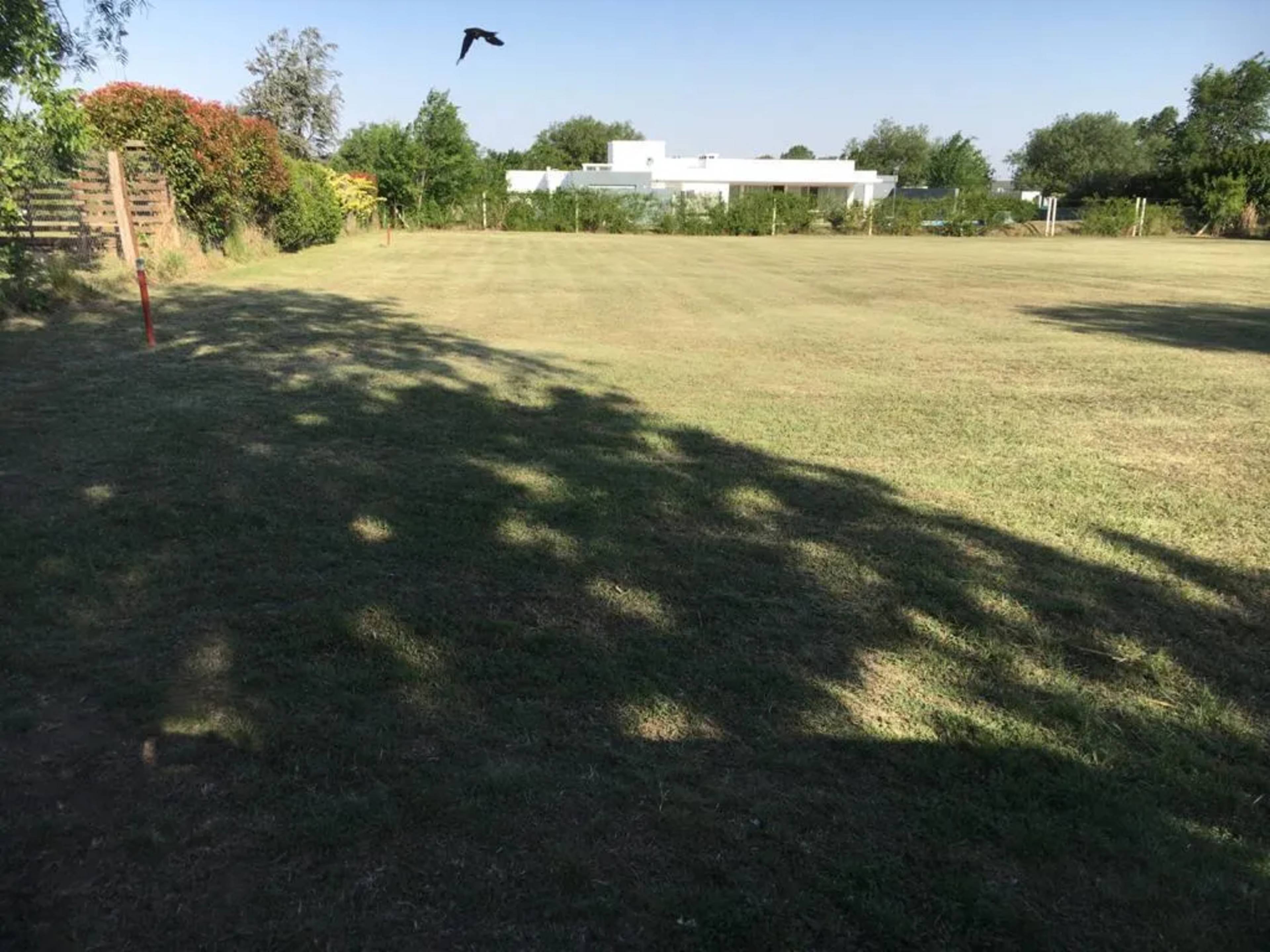 Lote Causana 1 - extra
