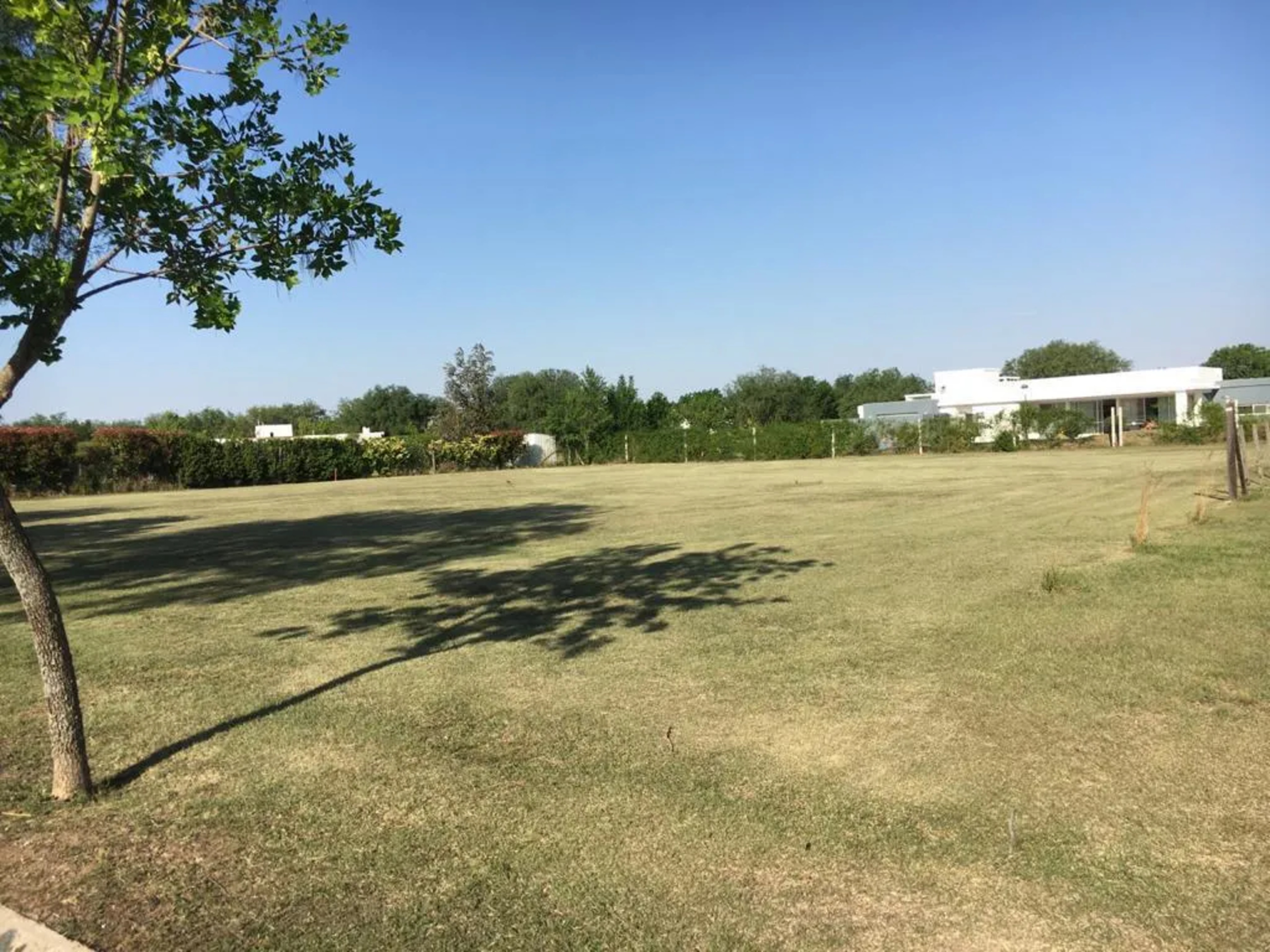 Lote Causana 1 - portada