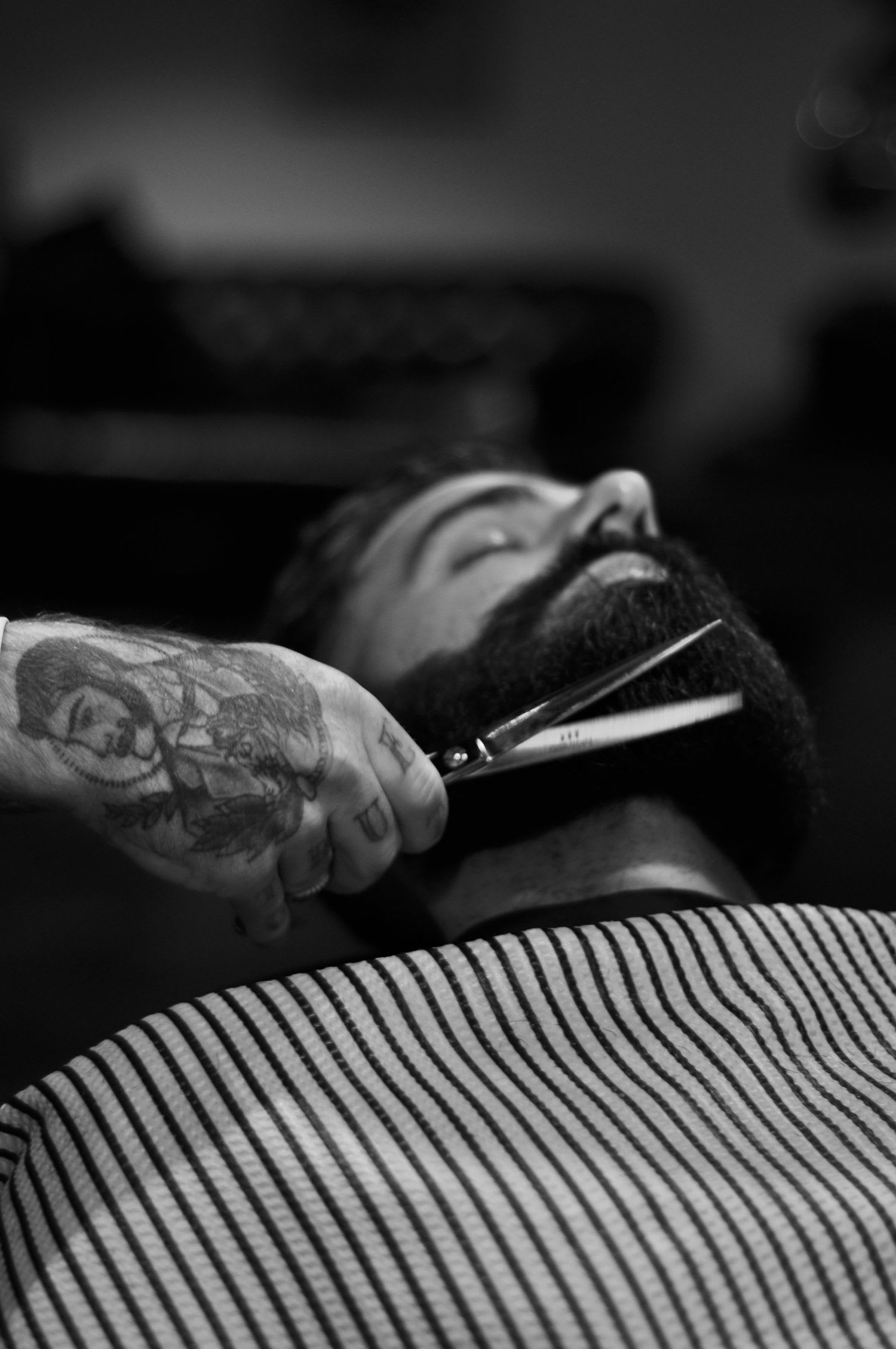 Portfolio image