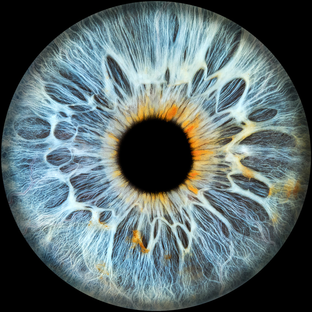 Foto all'iride — Paradise Optics