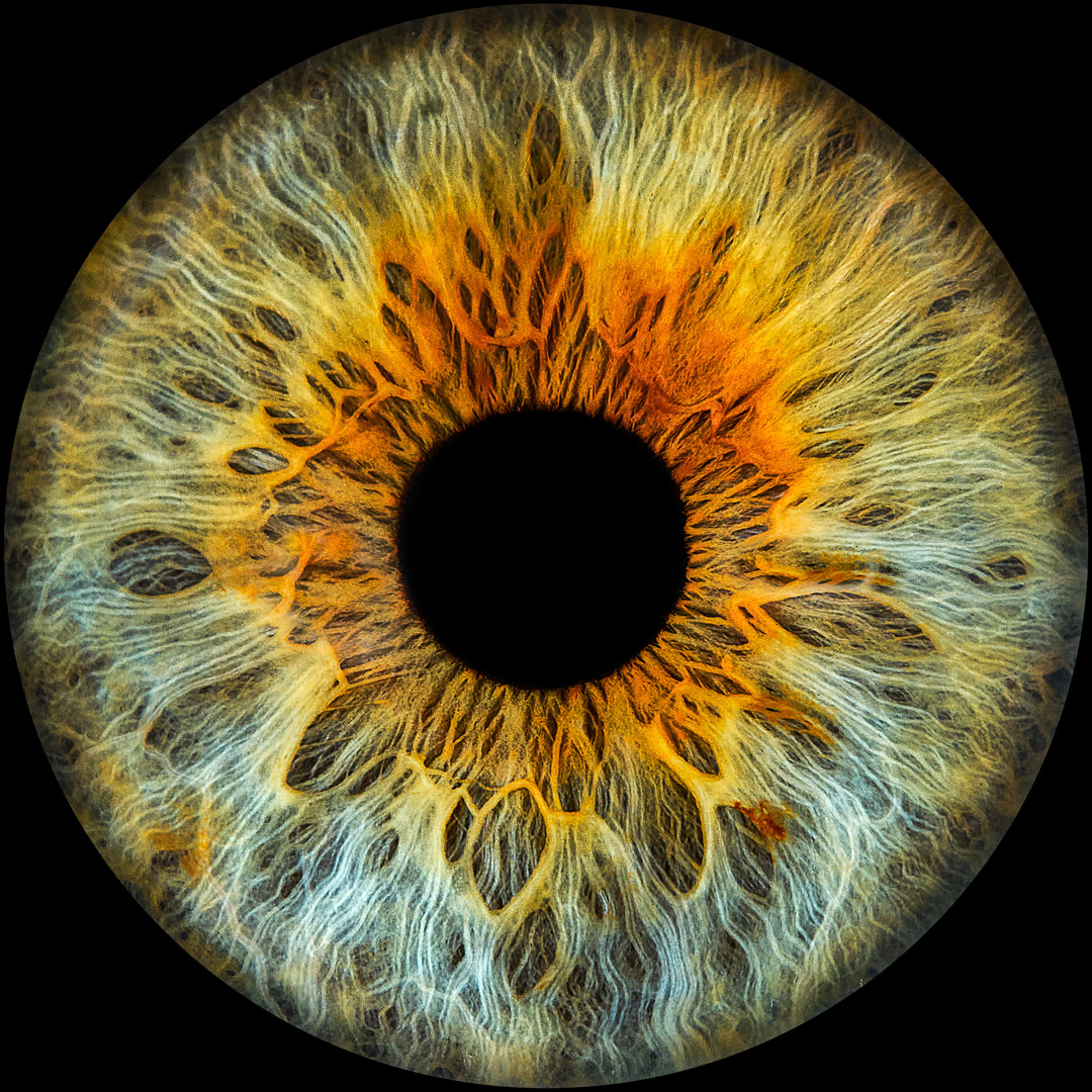 Foto all'iride — Paradise Optics