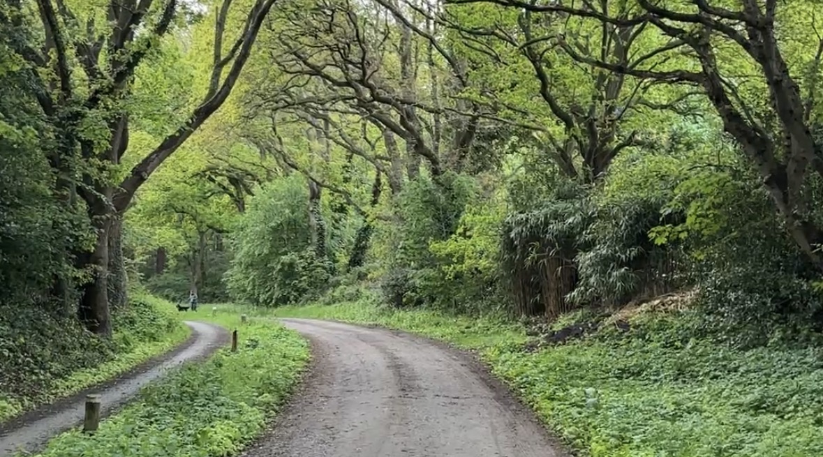 A quiet walking path