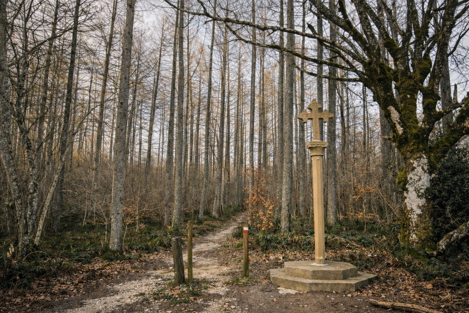 Cross beside a forest path along the Camino de Santiago