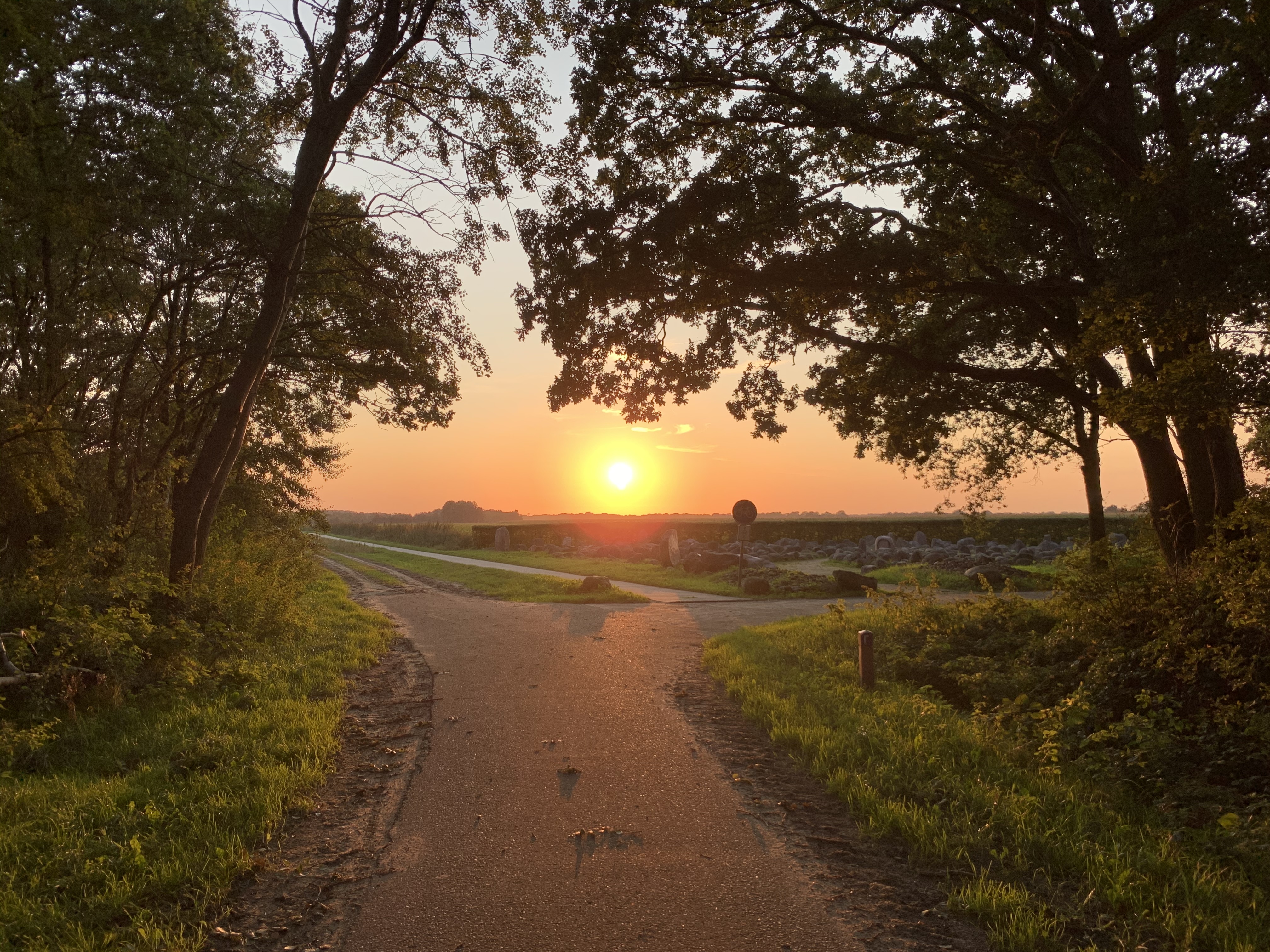Quiet country road in soft morning light