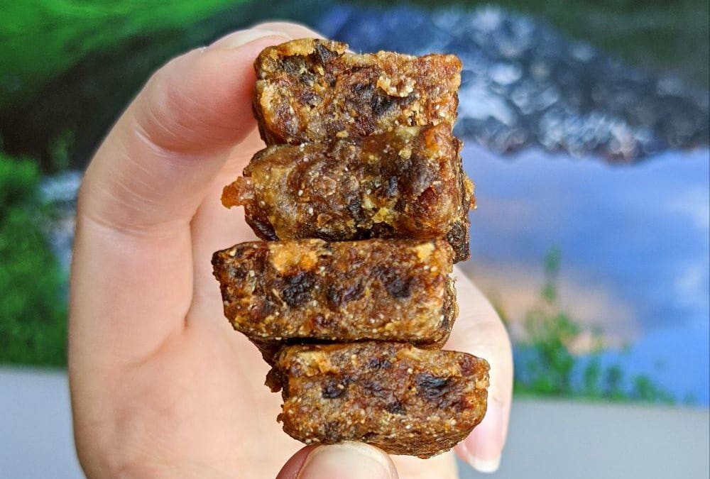Apricot Protein Bites (AIP, Paleo, GF, Whole 30, Coconut-Free)