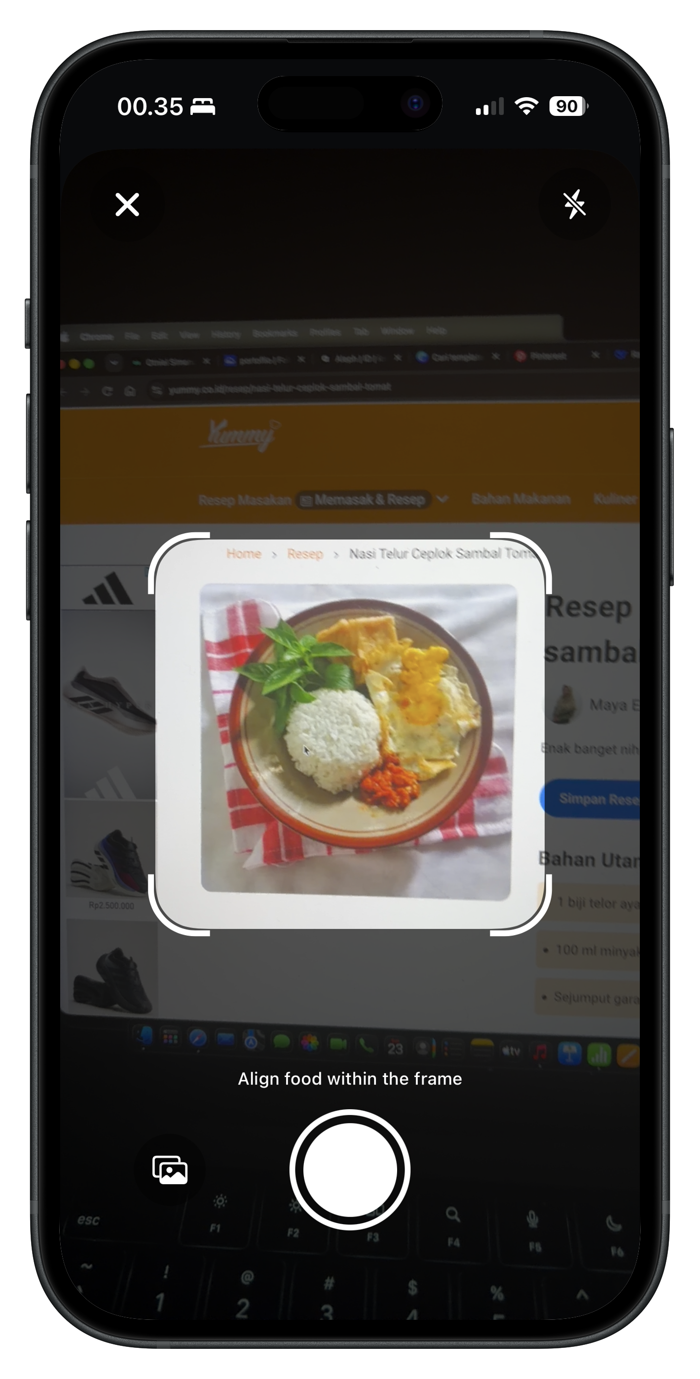 Food scan camera with alignment frame