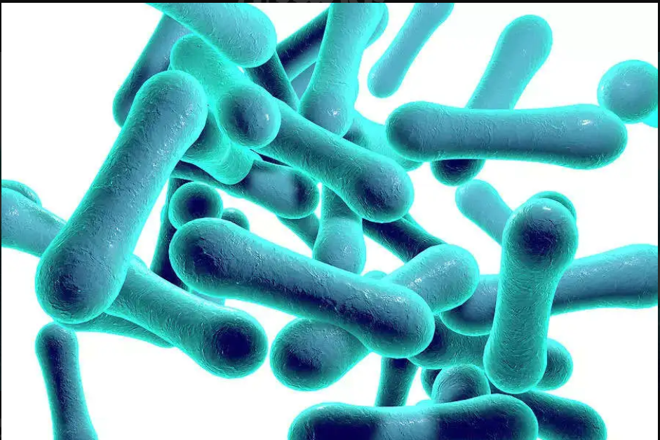 Plateau Diphtheria Outbreak Worsens as Death Toll Hits 27, Suspected Cases Reach 303