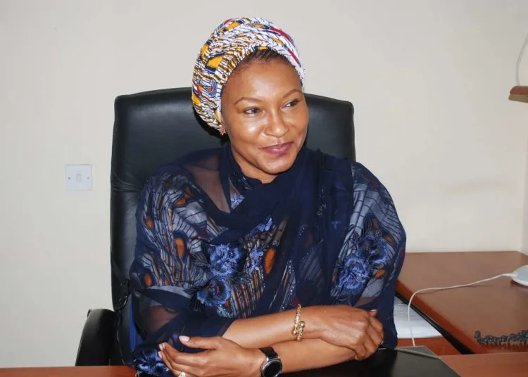 Kingibe, Health Experts Demand Sustainable Funding, Legislative Action to Address Healthcare Gaps