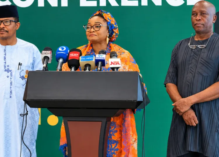 Subsidy Removal: Tinubu Chose to Confront Economic Challenges Rather Than Pass Them to Next Generation, Minister Says