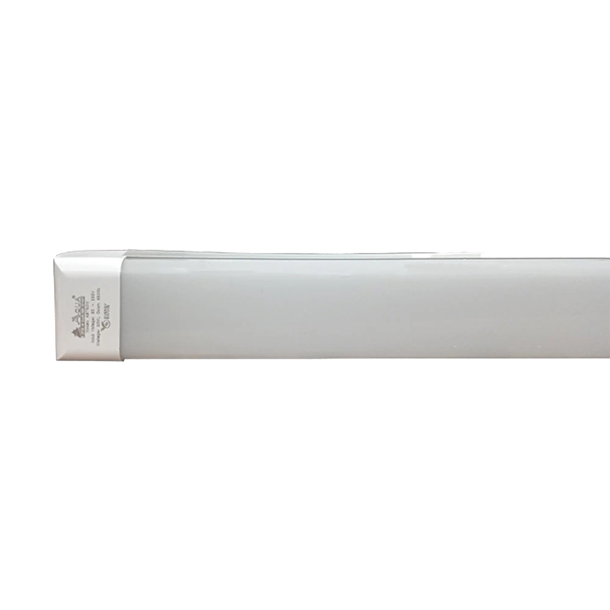 Batten Lights